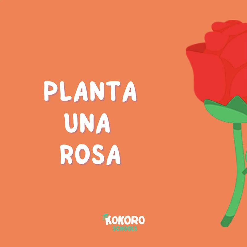crea_rosa