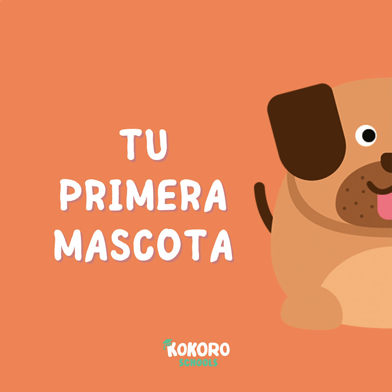 primera_mascota