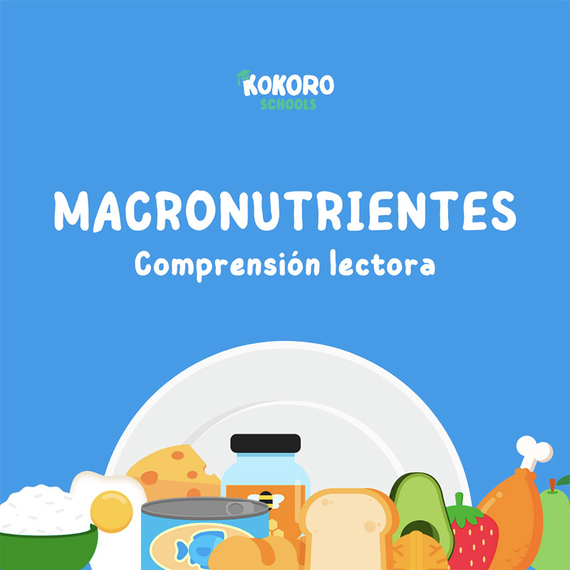 macronutrientes