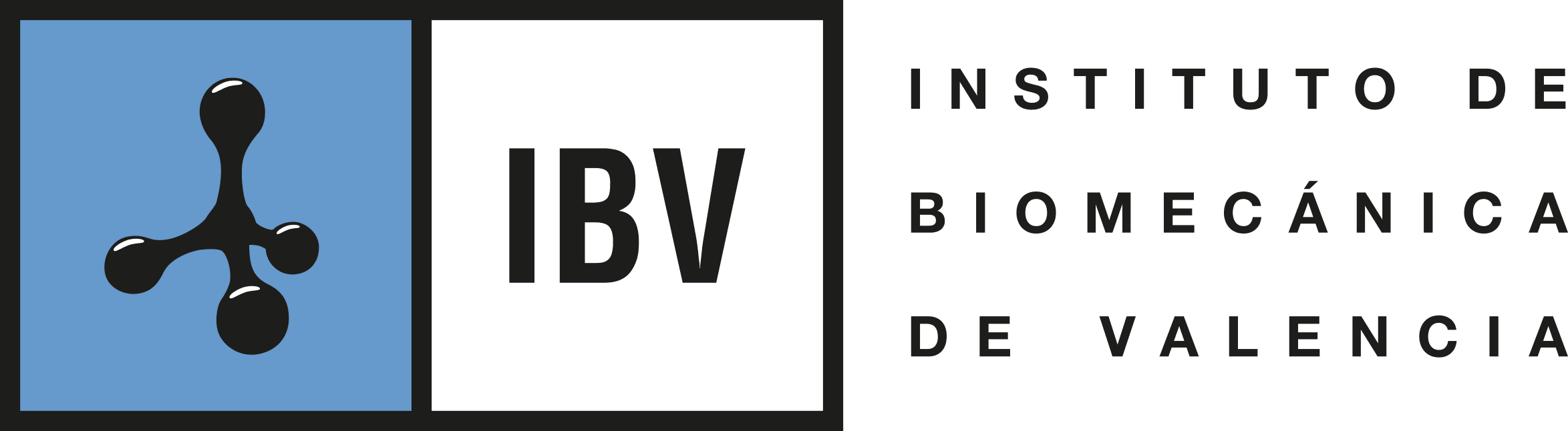 ibv_logo