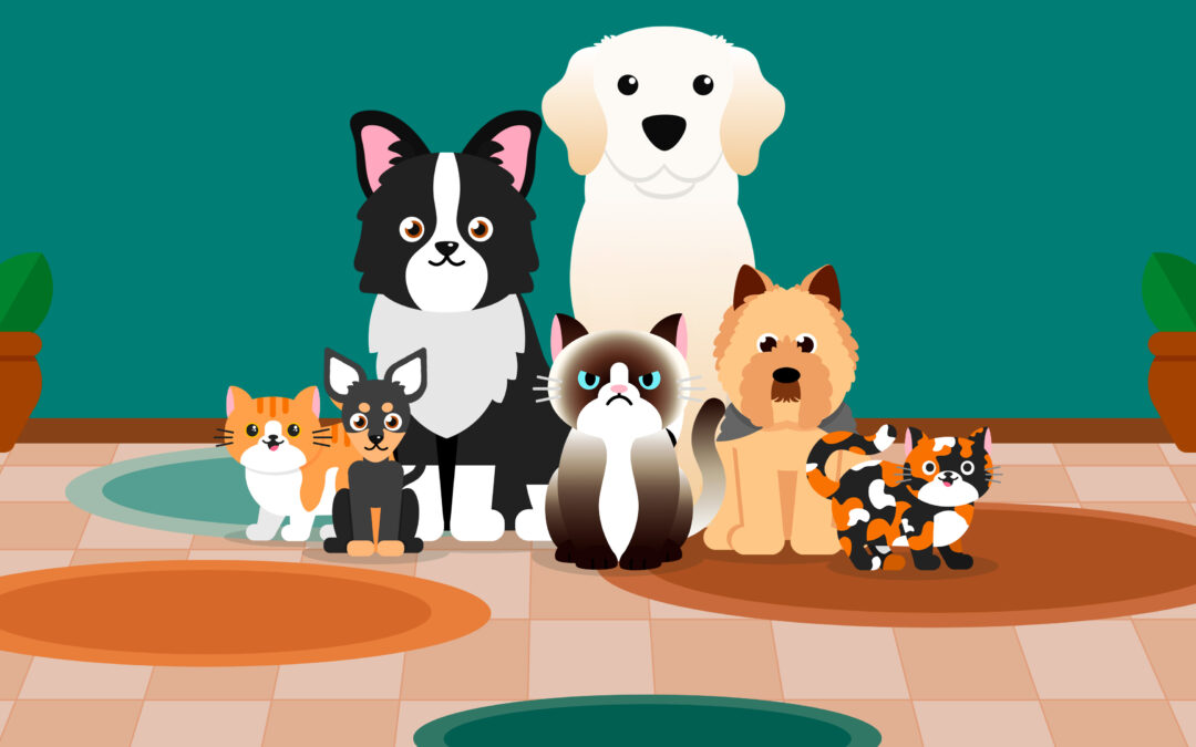 Juegos educativos de gatos y perros